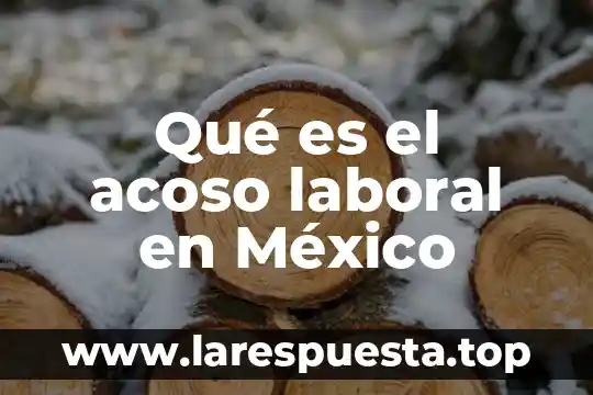 Qué es el derecho internacional y campo laboral 6 Qué es el acoso laboral en México