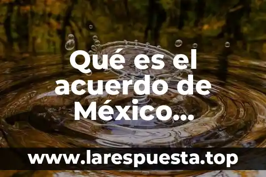 Que es picadita en argentina en mexico 6 Qué es el acuerdo de México Argentina mapa