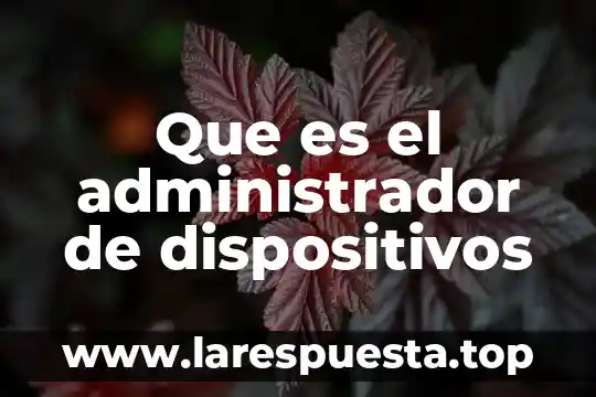 Que es un buen administrador de dinero 3 Que es el administrador de dispositivos