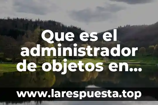 Que es el administrador de objetos en corel draw