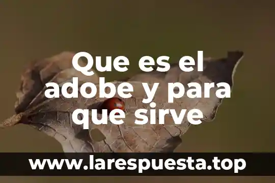 Que es la balanza comercial y para que sirve 5 Que es el adobe y para que sirve