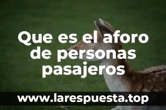 Que es el aforo de personas pasajeros