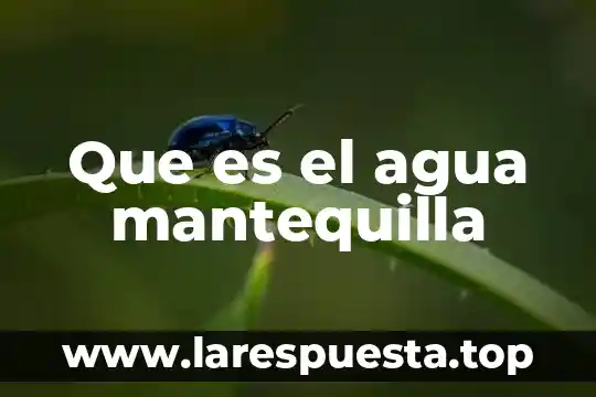 Que es cohesion en fisica del agua 8 Que es el agua mantequilla