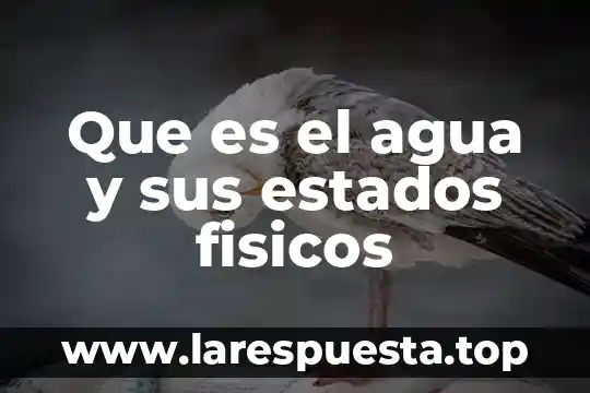 Que es el agua y sus estados fisicos