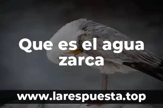 Que es el agua zarca