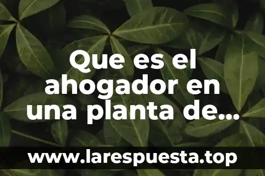 Que es el ahogador en una planta de generadora