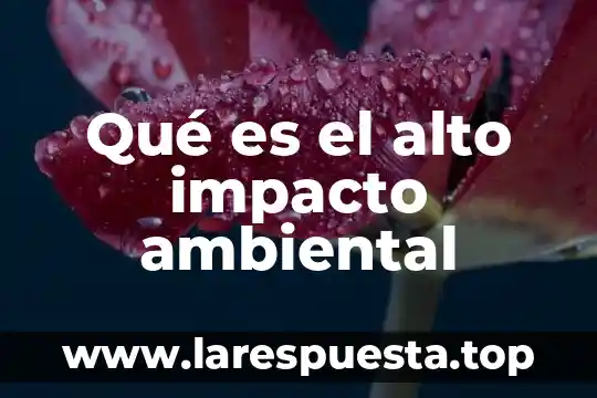 Que es un modelo negocio con impacto social 3 Qué es el alto impacto ambiental