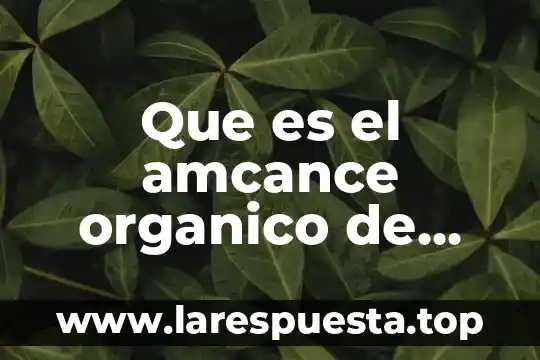 Qué es fósforo orgánico 3 Que es el amcance organico de facebook