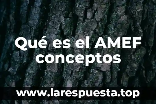 Qué es el AMEF conceptos