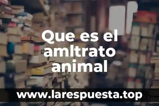Que es el amltrato animal