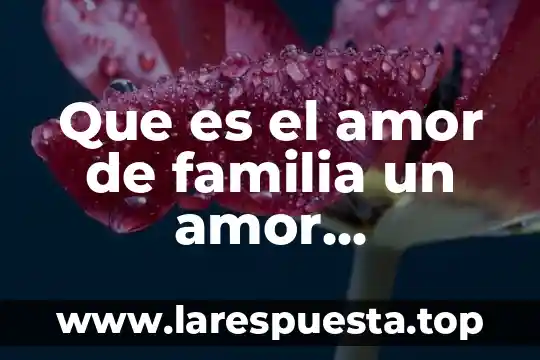 Que es el amor de familia un amor mexiquense