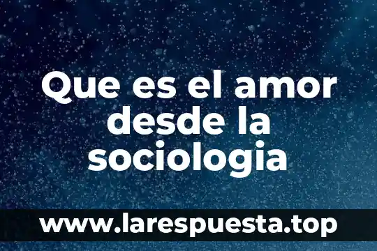 Que es el amor desde la sociologia