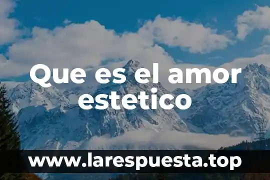 El valor estético y artístico 5 Que es el amor estetico