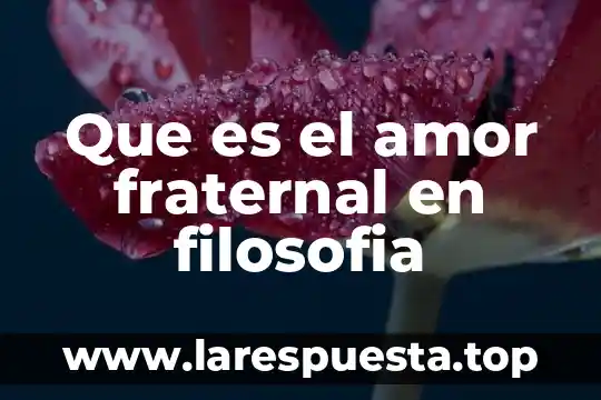 Que es el amor fraternal en filosofia