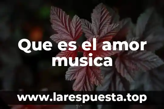 Que es el amor musica