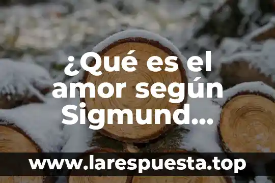 ¿Qué es el amor según Sigmund Freud?