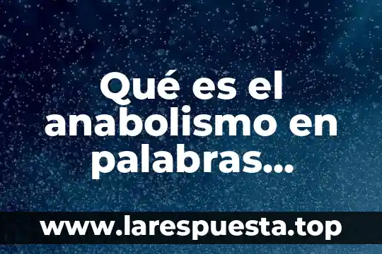 Qué es el anabolismo en palabras simples