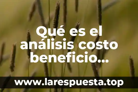 Que es un beneficio cultural 3 Qué es el análisis costo beneficio ambiental