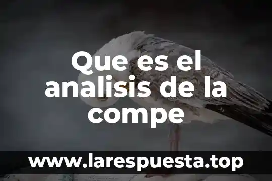 Que es un analisis de arc 7 Que es el analisis de la compe