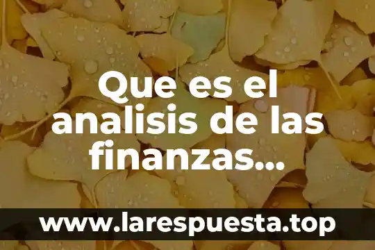 Que es el analisis de las finanzas publicas
