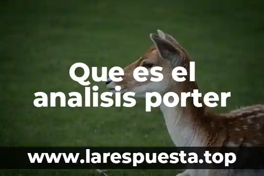 Que es cadena de valor de porter 5 Que es el analisis porter