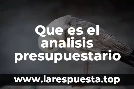Que es el analisis presupuestario