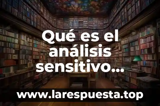 Que es un analisis de arc 8 Qué es el análisis sensitivo finanzas