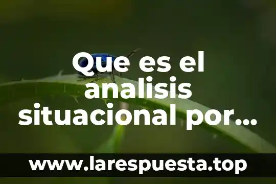 Que es el analisis situacional por varios autores