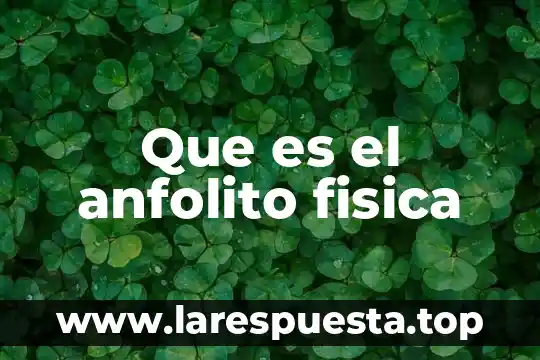 Que es el recorrido total en física 3 Que es el anfolito fisica