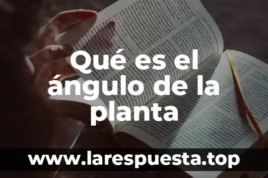 Qué es el ángulo de la planta