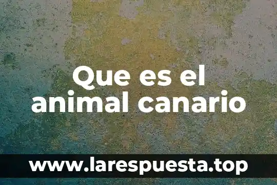 Que es el animal canario