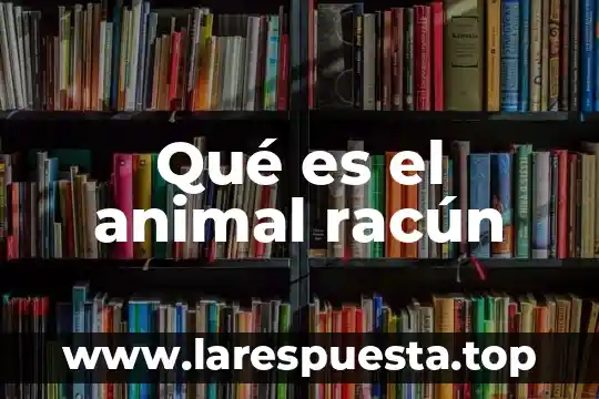 Que es la clonacion humana y animal yahoo 4 Qué es el animal racún