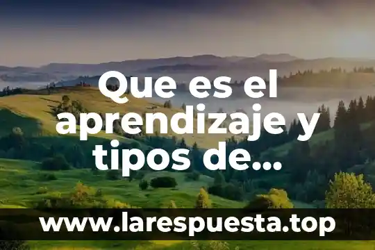 Que es el aprendizaje y tipos de aprendizaje