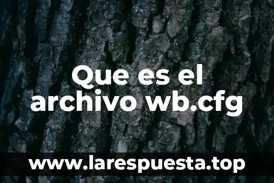 Archivo seto que es 3 Que es el archivo wb.cfg