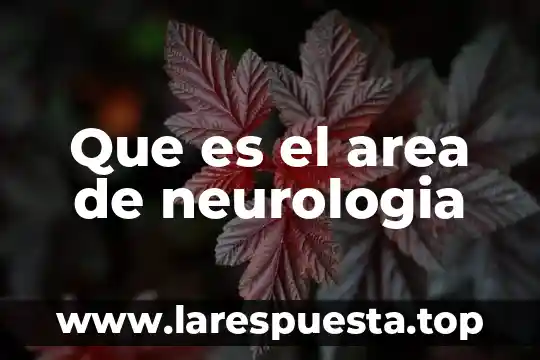 Que es area de servicios 6 Que es el area de neurologia