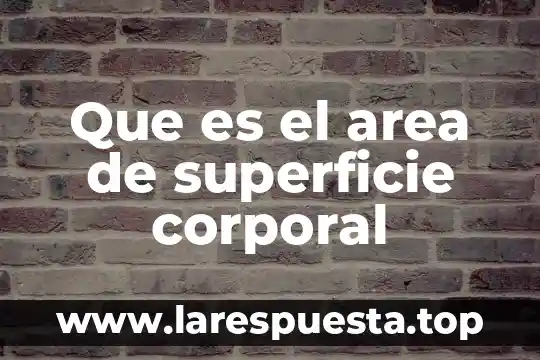 Qué es una superficie refringente física 8 Que es el area de superficie corporal