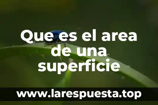 Que es el area de superficie corporal 7 Que es el area de una superficie