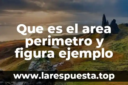 Qué es área perímetro y volumen 6 Que es el area perimetro y figura ejemplo