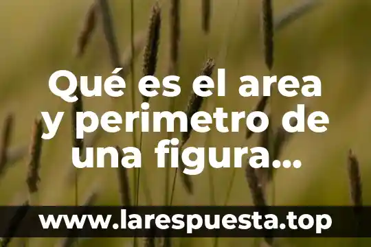 Qué es el area y perimetro de una figura geometrica