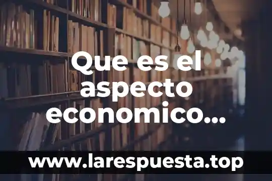 Que es o en que consiste el modelo economico neovidelario 7 Que es el aspecto economico brainly