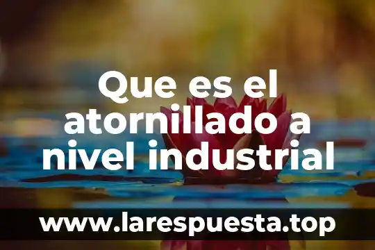 Que es nivel de dominio y diferencia nivel de pensamiento 4 Que es el atornillado a nivel industrial