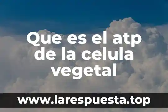 Que es el atp de la celula vegetal