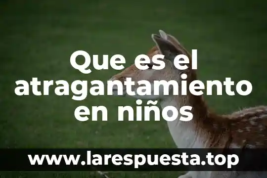 Que es windows image 8 Que es el atragantamiento en niños