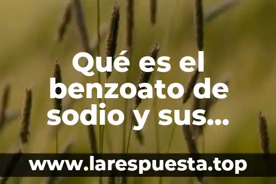 Acrilato de sodio qué es 7 Qué es el benzoato de sodio y sus características