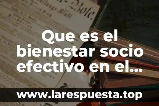Que es el bienestar socio efectivo en el publico