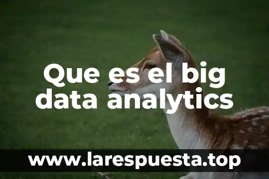 Que es el big data analytics