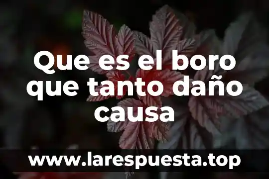 Por que es buena la reparacion del daño 5 Que es el boro que tanto daño causa