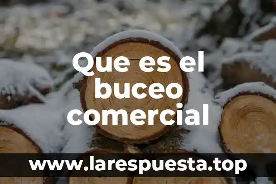 Que es el buceo comercial