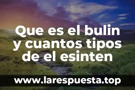 Qué es una función y cuántos tipos de función hay 3 Que es el bulin y cuantos tipos de el esinten