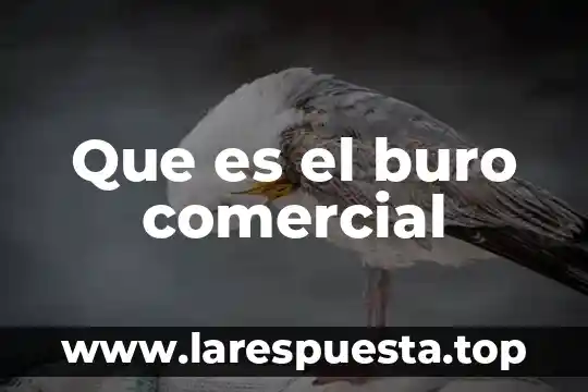 Que es el formato intl de buro credito 4 Que es el buro comercial